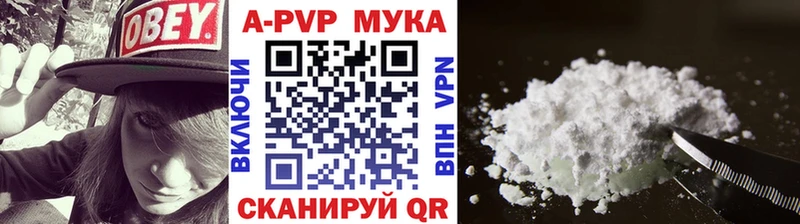 A PVP СК КРИС  Владикавказ 