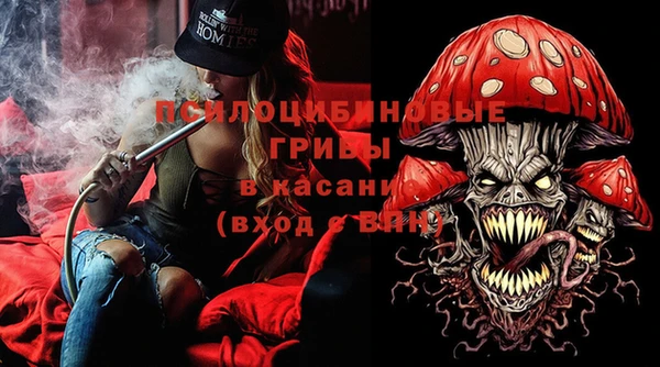 ALPHA PVP Осинники