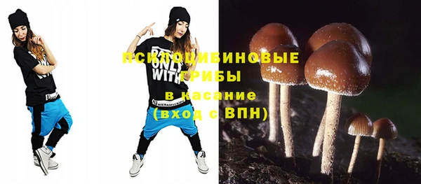 не бодяженный Пересвет