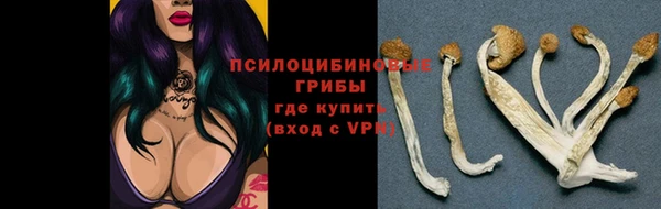 ALPHA PVP Осинники