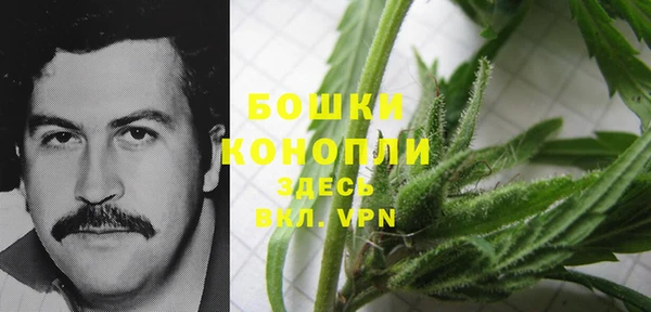 ALPHA PVP Осинники