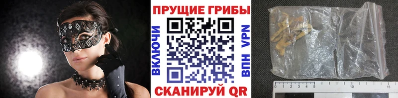 наркота  Владикавказ  shop официальный сайт  Псилоцибиновые грибы MAGIC MUSHROOMS 