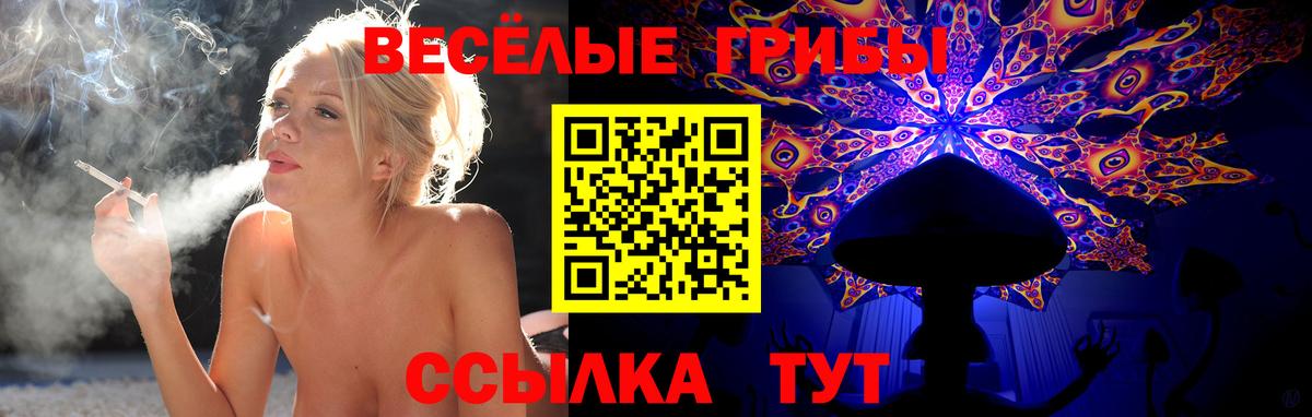 Галлюциногенные грибы Psilocybine cubensis Владикавказ