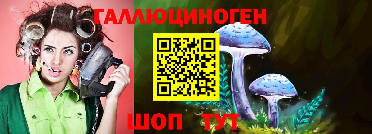 наркошоп  Галлюциногенные грибы Cubensis  Вход с VPN  Владикавказ 